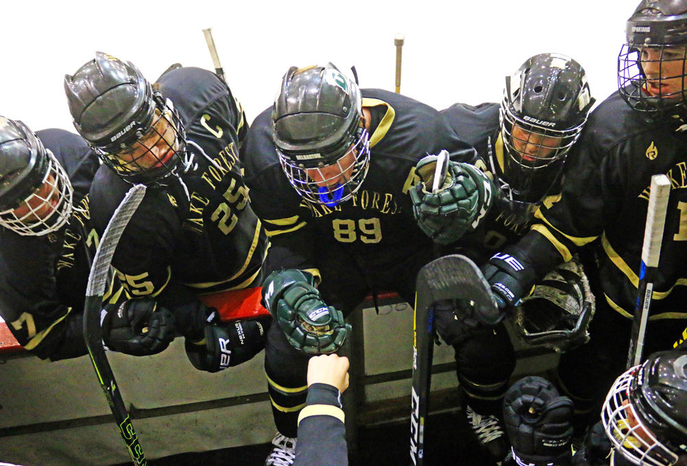 Wake hockey